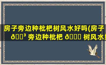 房子旁边种枇杷树风水好吗(房子 🐳 旁边种枇杷 🐕 树风水好吗*
)